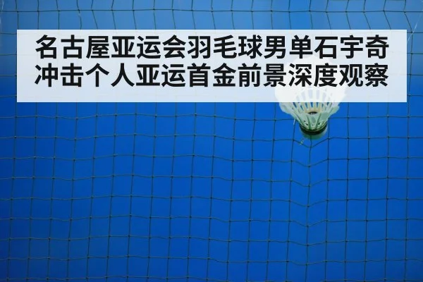 badminton shuttlecock net closeup